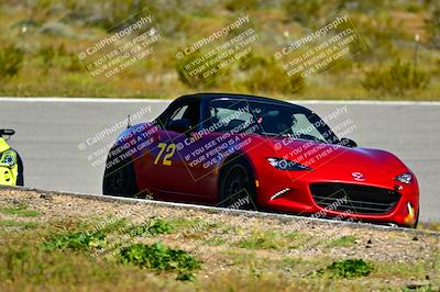 media/Apr-06-2024-Extreme Speed (Sat) [[3431b70655]]/Purple-low int/Session 1-The Bowl/